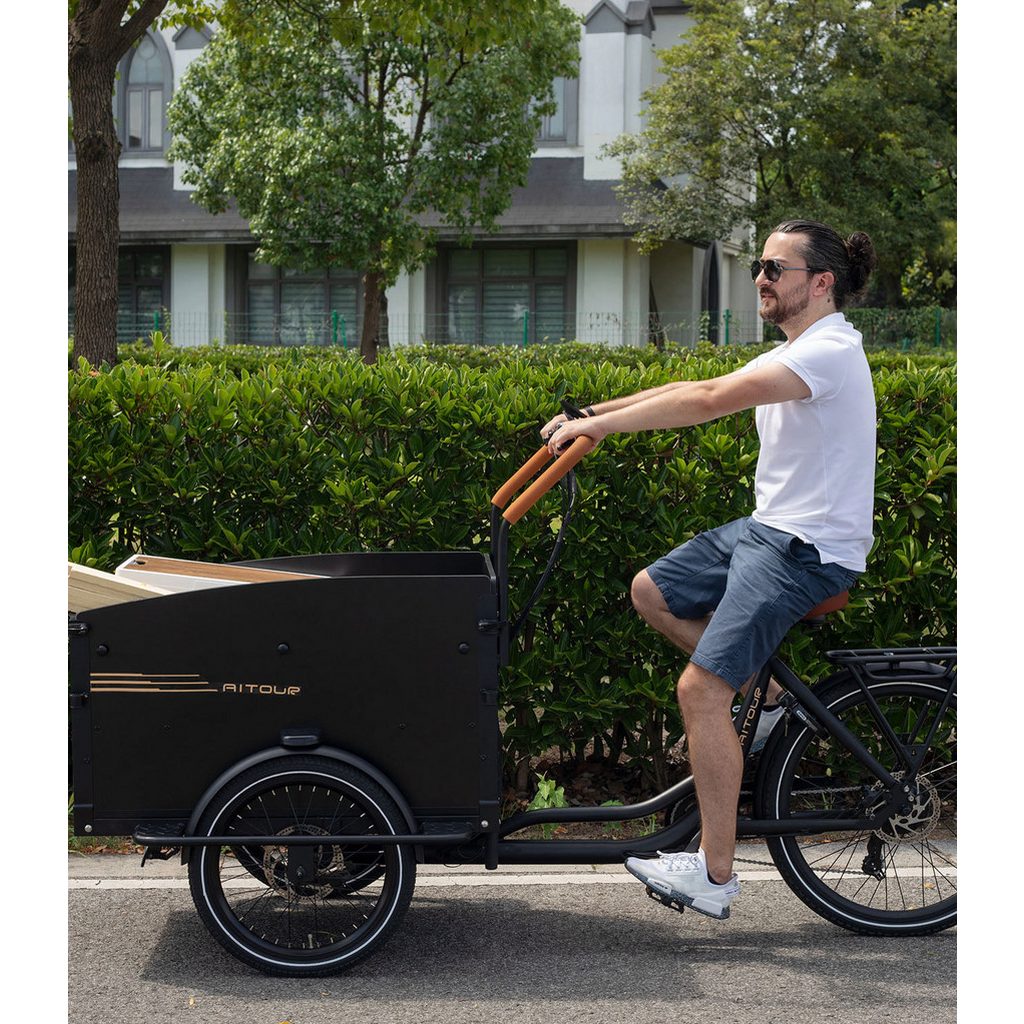 dotmall-aitour-cargo-bike-250w-7-gang-1.jpg